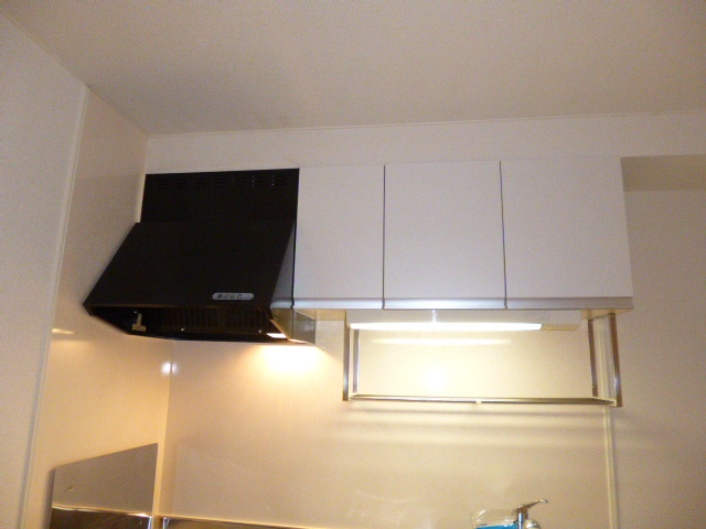 グリーンパークⅡのキッチン|収納