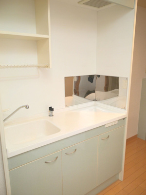 【キッチン】 | ガーラ渡辺通り | 別号室の写真になります。現況優先。