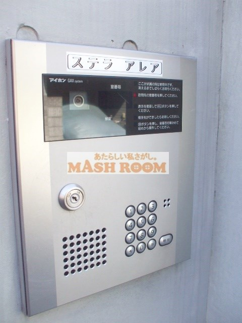 ステラアレアの外観