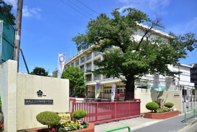 【周辺】 | 練馬区立富士見台4丁目　新築戸建　D号棟 8180万円 | 練馬区立石神井東中学校