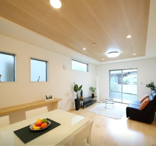 【その他】 | 練馬区立富士見台4丁目　新築戸建　D号棟 8180万円 | 施工主施工例：リビング