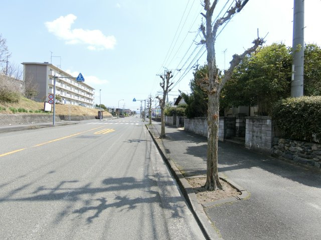 永江戸建の前面道路含む現地写真