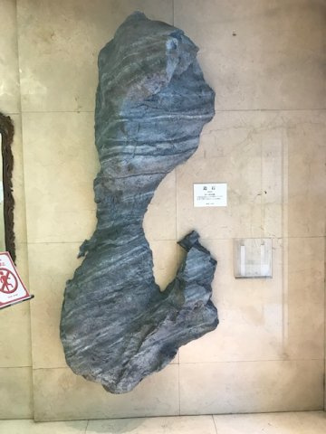 新々会館日本橋ビル