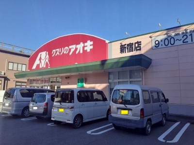 【周辺】 | セレッソ | クスリのアオキ新宿店まで650m