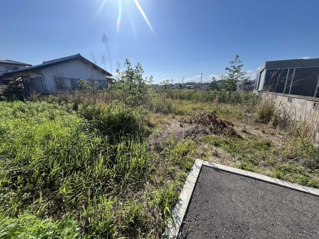 妻崎開作の前面道路含む現地写真