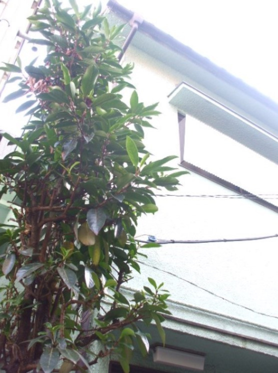 北島荘のその他共用部分