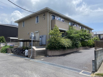 チェリーウェルの画像