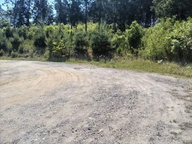 大津市平津２丁目の事業用地のその他