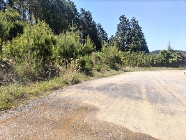 大津市平津２丁目の事業用地のその他