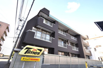 プラトー藤の画像