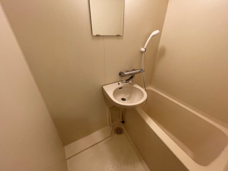 アネシス東洞院の浴室