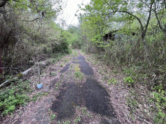 【外観】 | 丹波篠山市今田町市原　土地