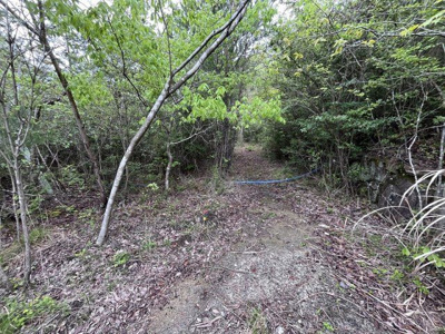 【周辺】 | 丹波篠山市今田町市原　土地