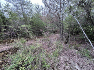 【外観】 | 丹波篠山市今田町市原　土地