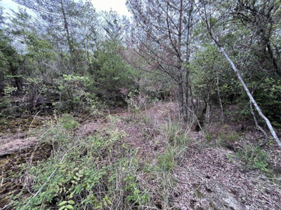 【外観】 | 丹波篠山市今田町市原　土地