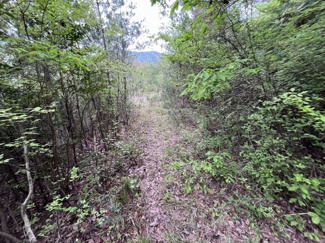 【周辺】 | 丹波篠山市今田町市原　土地