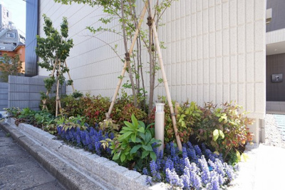 【その他共用部分】 | マーブルコレクション | 物件を彩る様々な植栽が植えられています。