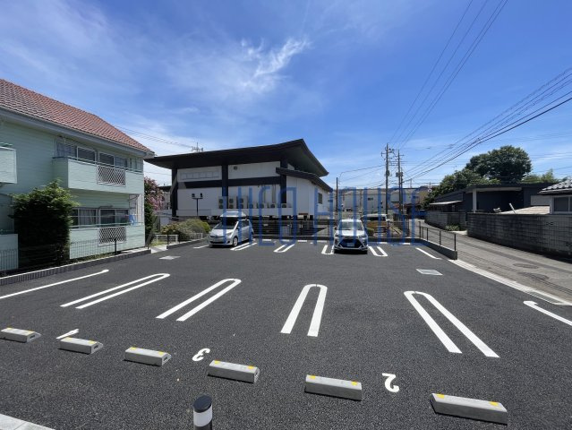 サニーサイトシーズンの展望