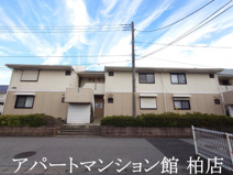 ジョイフローリッシュの画像