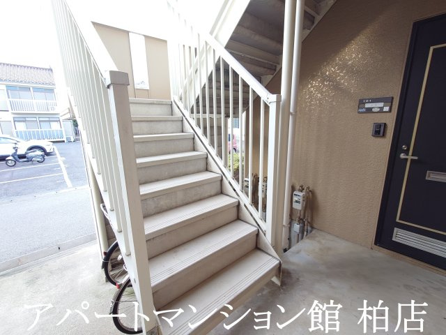 ジョイフローリッシュのその他