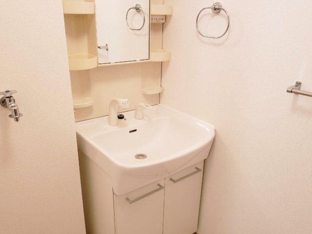 ロイヤルコートの独立洗面台|洗面所