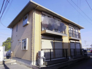 ストリーム・ガーデンの画像