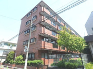 エクロール蓮根　13804の画像