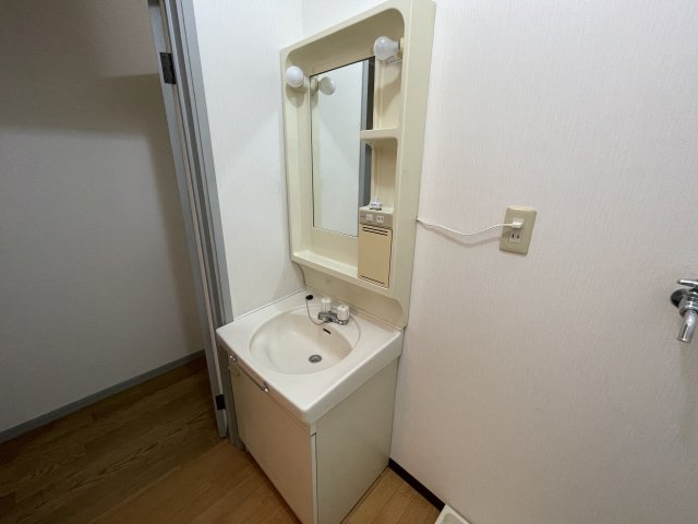 ハイツトトロの洗面所