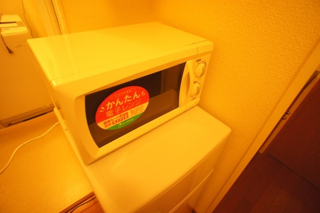 レオパレスウィステリアのその他