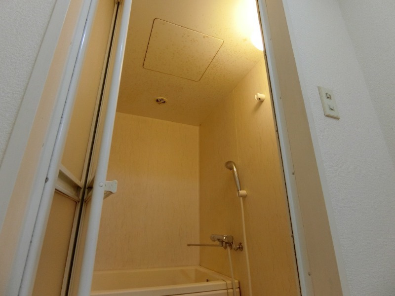 Lily南大野の浴室