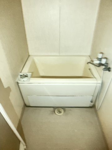 Lily南大野の浴室