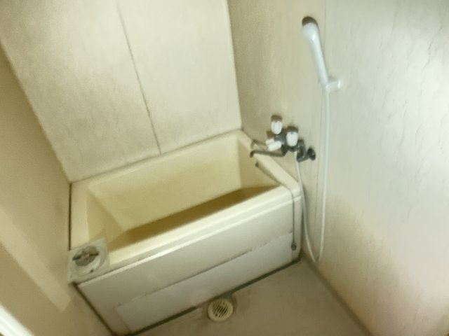 Lily南大野の浴室