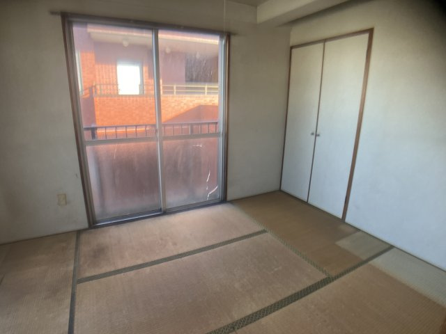 Lily南大野のその他