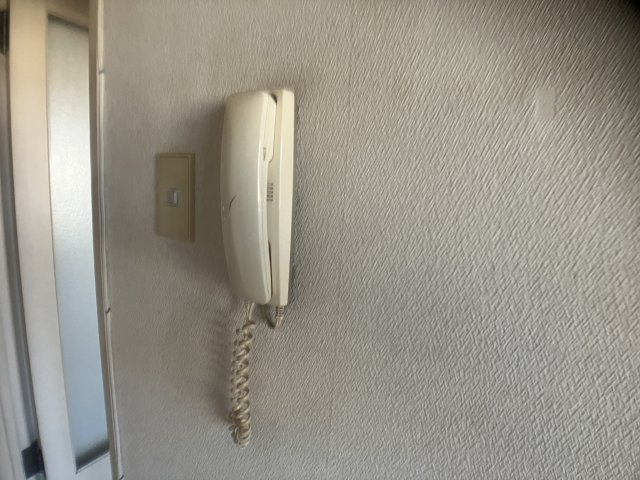 Lily南大野のセキュリティ