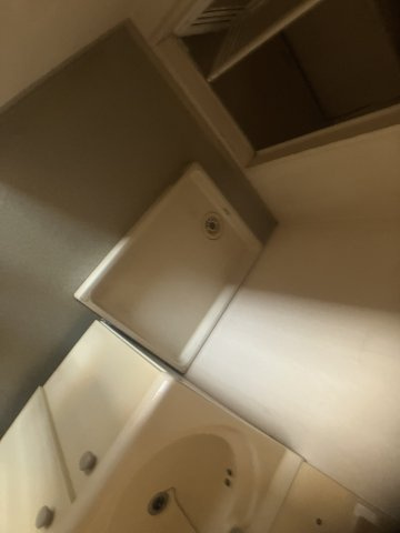 Lily南大野のその他