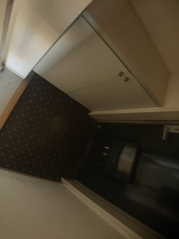 Lily南大野のその他