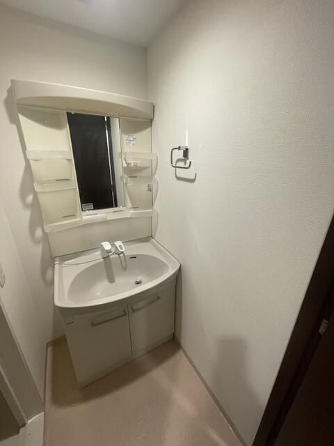 Ｖｉｌｌａｇｅ　Ｈｏｕｓｅ　幕張本郷の洗面所