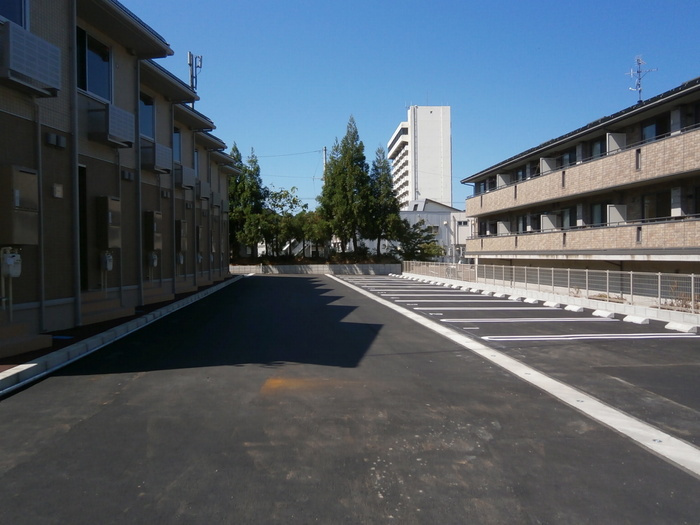 モンステラの駐車場