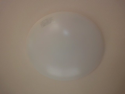 【その他】 | アクアココ