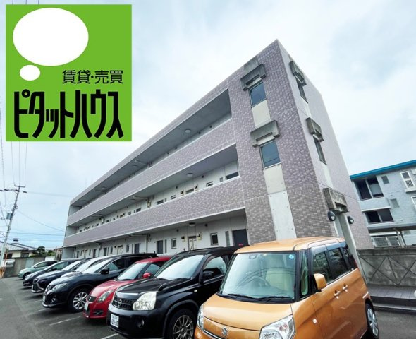 ルミナスコート