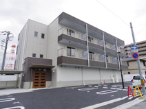 Wisteria（ウィスタリア）の画像