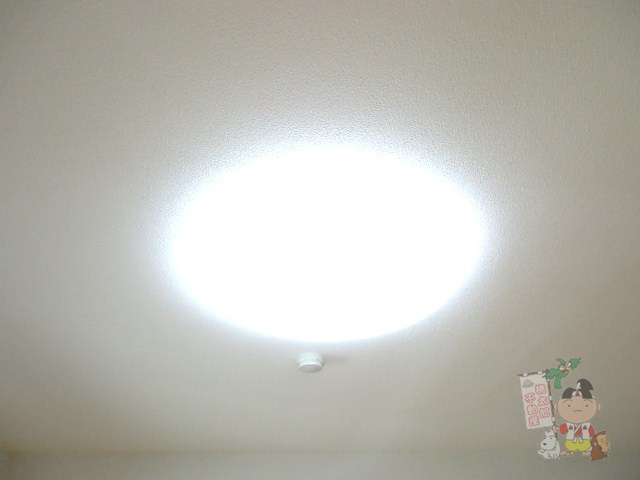 ヴィクトワール南方の収納|シューズボックス