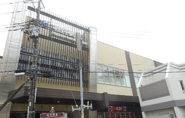 パストラール　ライツⅡのその他