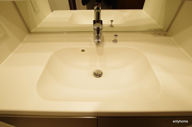 ザパークハビオ堂島　仲介手数料無料の洗面所