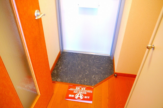 レオパレスＬａ　Ｖｉｓｔａ２の玄関|収納もある玄関です