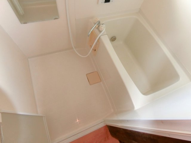 コーポツーリーフの浴室