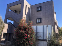 ディアフレンドＫＯＩＺＵＭＩの画像