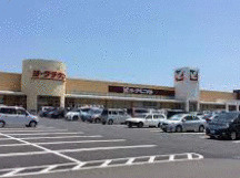 ひたちなか市田彦　売土地の周辺|ショッピング施設