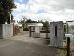 日立市大沼町2丁目　売土地の周辺|小学校