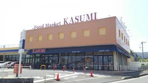 日立市大沼町2丁目　売土地の周辺|ショッピング施設